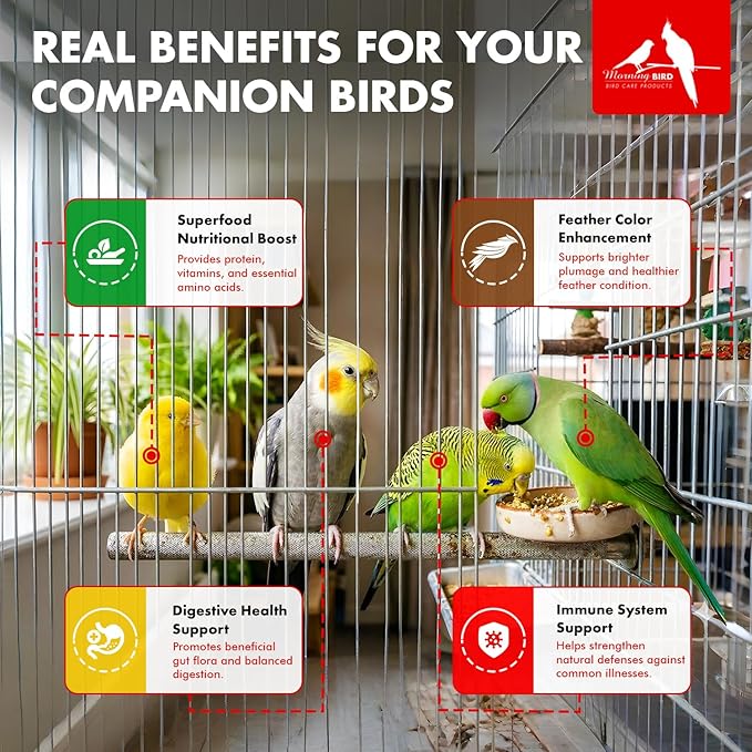 Morning Bird Spirulina 4.5 oz – Organic Superfood Supplement for Birds – Rich in Vitamins, Protein & Amino Acids – Ideal for Parakeets, Cockatiels, Budgies, Finches, Canaries & Parrots