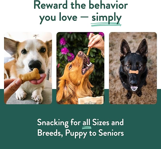 Portland Pet Food Company Bacon Dog Treats Healthy Biscuits for Large Medium & Small Dogs - Grain-Free, Human-Grade, All Natural Dog Cookies, Snacks & Training Treats - Made in the USA - 5 oz