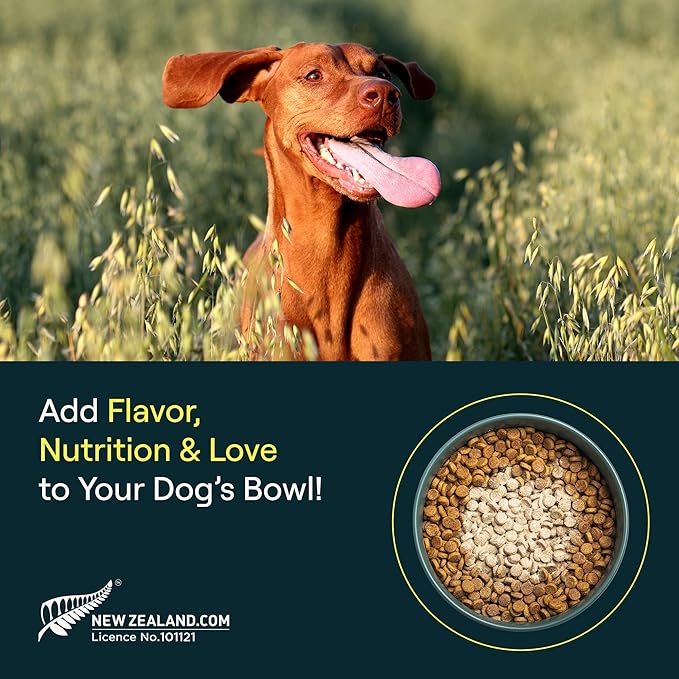 POP-Topper Dog Food Meal Toppers – Multivitamin Powder for Dogs 35 lbs & Up - Delicious Bone Broth Base with 6 Human-Grade Superfoods - Supports Joints, Gut, Skin & Coat - 30 Packets