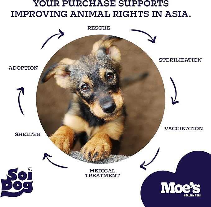 Moe’s Skin & Coat Omega 3, 6, 9 and Vitamin Supplement for Dogs - 90 Soft Chews for Dog Itching Skin Relief Supports Dryness, & Thick, Shiny Coats - with Premium Omega Oil for Dogs of All Breeds