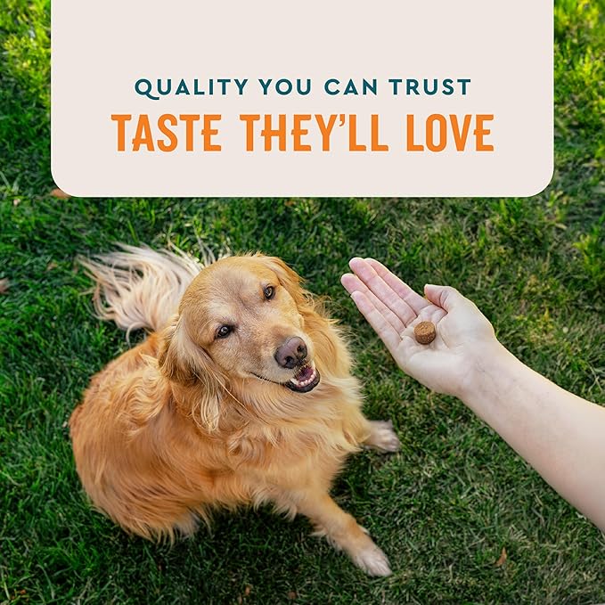 VetIQ Skin and Coat Supplement for Dogs, Helps Maintain Healthy Skin and Shiny Coat, Hickory Smoke Flavor Dog Chew, Made in The USA, 60 Count