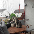 Cat Balcony Net, Pet Safety Fence for Balcony/Stairs/Window - Transparent Nylon Mesh Anti-Fall Netting for Dogs & Cats