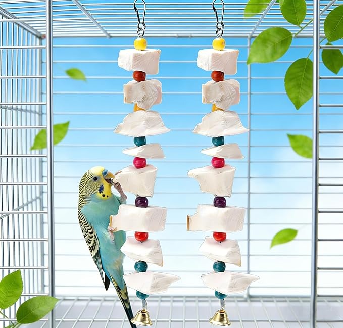 2 Pack Bird Toys, Parakeet Toys with Cuttlebone, Natural Cuttle Bone Bird Beak Grinding Stone & Parrot Chew Cuttlebone Cage Accessories with Bell for Budgie, Conure, Lovebird - 12 Pieces