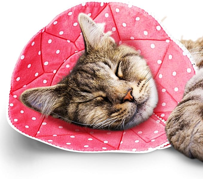 SunGrow Cat Cone Collar Soft, Stop Licking E Collar for Recovery, Post Surgery Stress Relieving with Adjustable Strap Enclosures (7" - 9" Neck Size, Pink)