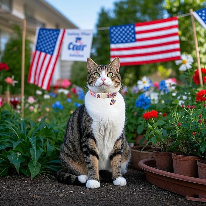 2 Pack American Flag Cat Collars Breakaway with Bell, DOGWONG Safety Buckle 4th of July Patriotic Cute Cat Collar for Girl Boy Cats，Adjustable 7-12 Inch