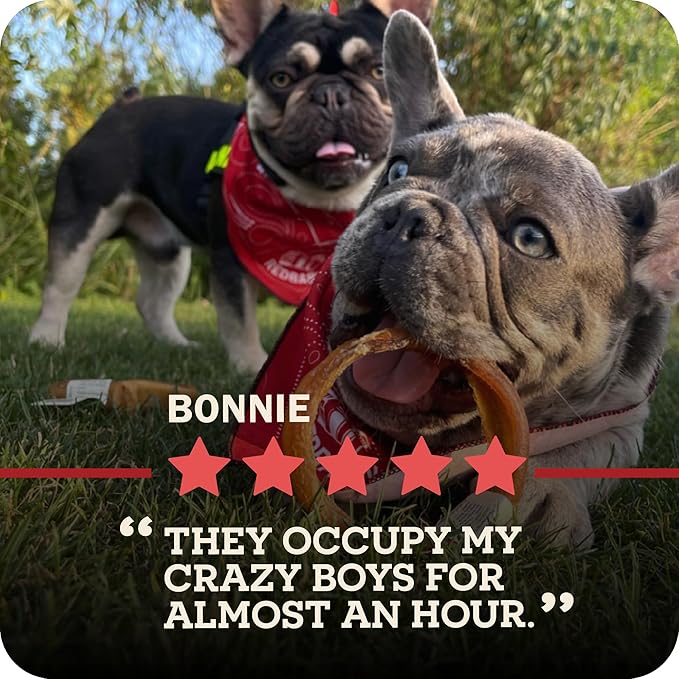 Redbarn Pet Products All Natural 5"-8" Bully Sticks for Small & Large Dogs - Healthy Long Lasting Chews Variety Party Pack - 100% Beef Single Ingredient Low Odor Rawhide Free Dental Treats - 8 oz Bag