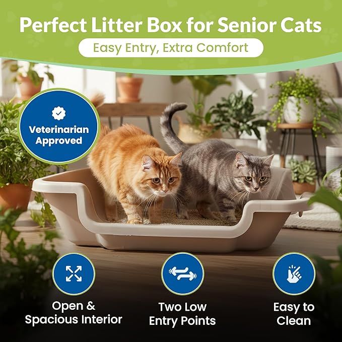 KittyGoHere 2.0 Easy-Entry Cat Litter Box – Large Open-Top Low Entrance Litter Pan with Higher Sides & Two Entrances – Ideal for Senior & Arthritic Cats – Made in USA (Grey)