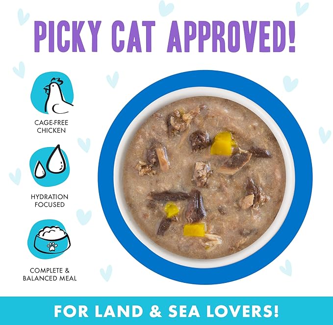 Weruva B.F.F. OMG - Best Feline Friend Oh My Gravy!, Love Munchkin! with Chicken & Pumpkin in Gravy Cat Food, 5.5oz Can,(Pack of 16)