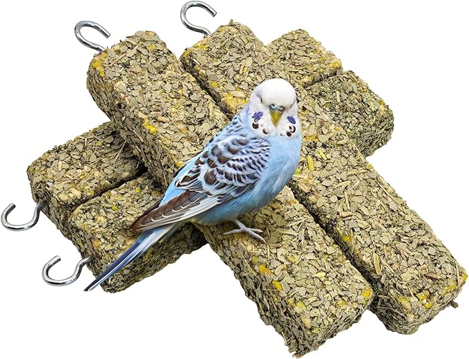 Fhiny 4 PCS Parakeet Treats, Natural Cockatiel Food Eucalyptus Leaves Mixed Grains Parrot Snack Sticks Bird Treats for Budgerigars Lovebirds Canaries Conurus Finches