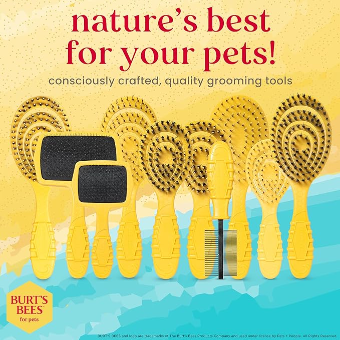 Burt's Bees for Pets Double Sided Brush for Large Dogs with Handle Made from Recycled Plastics Collected from Coastal Communities| 2-in-1 Dog Brush Removes Tangles While Smoothing Dog Fur