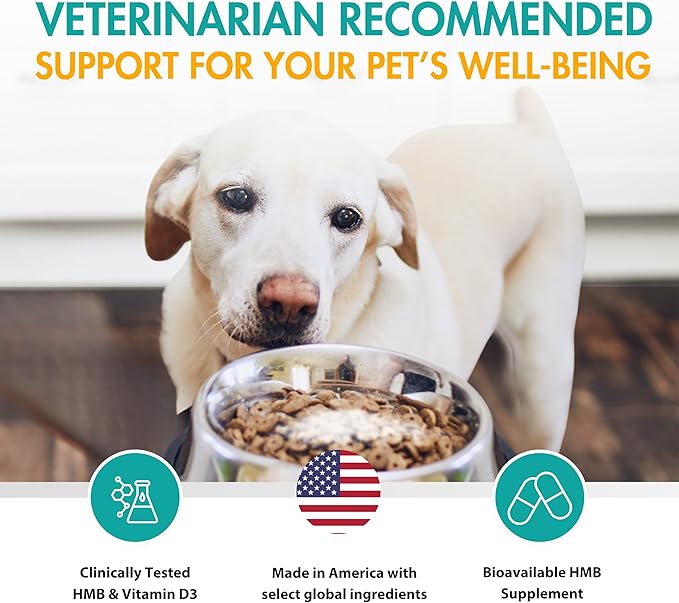 Muscle Support Dog Supplements for Large Breed (21lbs+) with CaHMB & Vitamin D3 – Supports Strength, Mobility & Daily Activity for All Ages & Senior Dog – (30 Capsules)