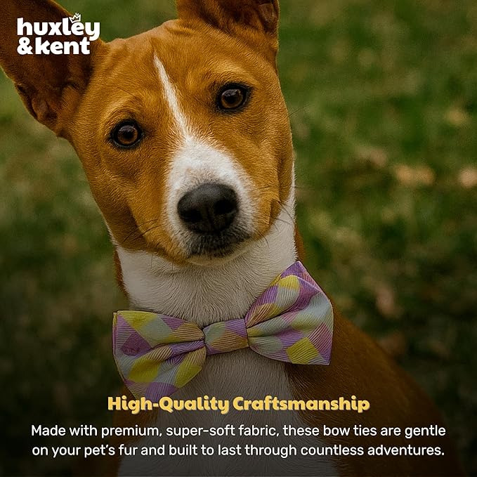 Huxley & Kent Pet Bow Tie for Dogs & Cats - Spring Theme Adjustable Hook & Loop Collar Accessory - Cute & Comfortable for Holidays & Celebrations - Lavender Lemon, Small