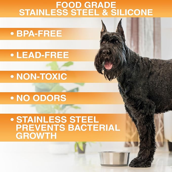 Neater Pet Brands Stainless Steel Dog Bowls with Non-Slip Rubber Bottom – 3 Cup (24 oz), Gray - Set of 2 Heavy Duty Metal Dog Bowls, Dishwasher Safe, Food or Water Bowl, Ideal for Small to Medium Dogs