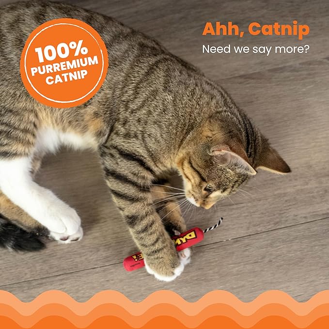 Catstages Green Magic Dynamite Stick Catnip Cat Toy (Pack of 2)