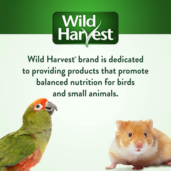 Wild Harvest Fruit Kabobs for All Birds, 6 Count, Made with Real Carrot, Cherry and Cranberry with Edible Skewer, 0.52 Ounce (Pack of 6)