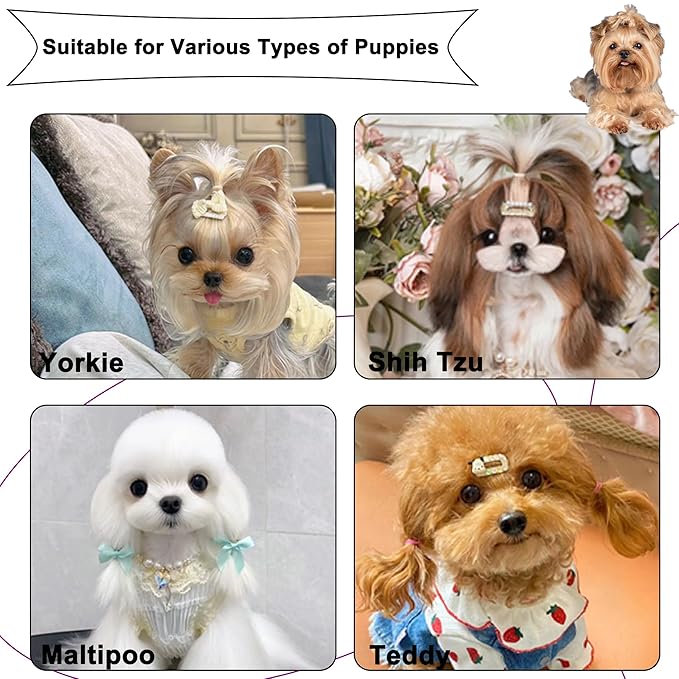Gentle Grooming Puppy Brush with Gift Box ， Fit for Small Dog ， Yorkie, Shih Tzu, Maltipoo, Maltese and Pomeranian ，Toy Poodle Accessories, Soft Bristle (Black)