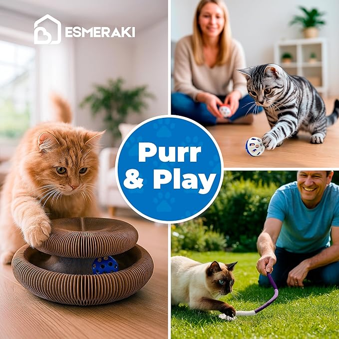 Kitty Kurlz Cat Scratcher Bundle for Kittens & Active Cats - Twisty Paws Reversible Infinity Kitty Curls Interactive Scratching Board, Stress-Relieving Cat Toy with Pet Hair Removal Glove & More