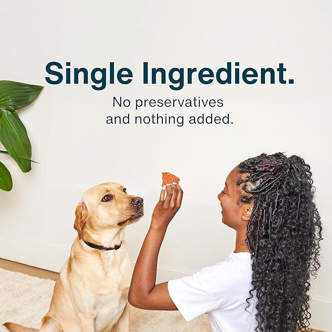 JustFoodForDogs Ingredient Healthy Dog Treats and Dog Snacks,Jerky Treats,Human Grade,Preservative and Grain Free,Rawhide Free Chews,Low Calorie Treat - Pork,5 oz,(Pack of 2)