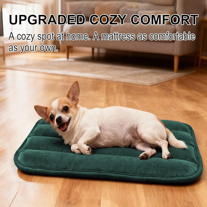 Dog Crate Pad, Ultra Soft & Anti-Slip Kennel Mat, Secure Fit for Metal Crates & Dog Cages, Washable Cozy Bed for Small Medium Large Dogs (Green, S(23"*14"*1.5"))