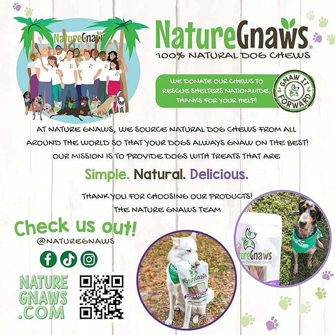 Nature Gnaws USA Steer Sticks for Dogs 5-7" (8oz) - Mixed Thickness - Long Lasting for Aggressive Chewers and Large Dogs - Natural Beef Bully Dog Chew Bones