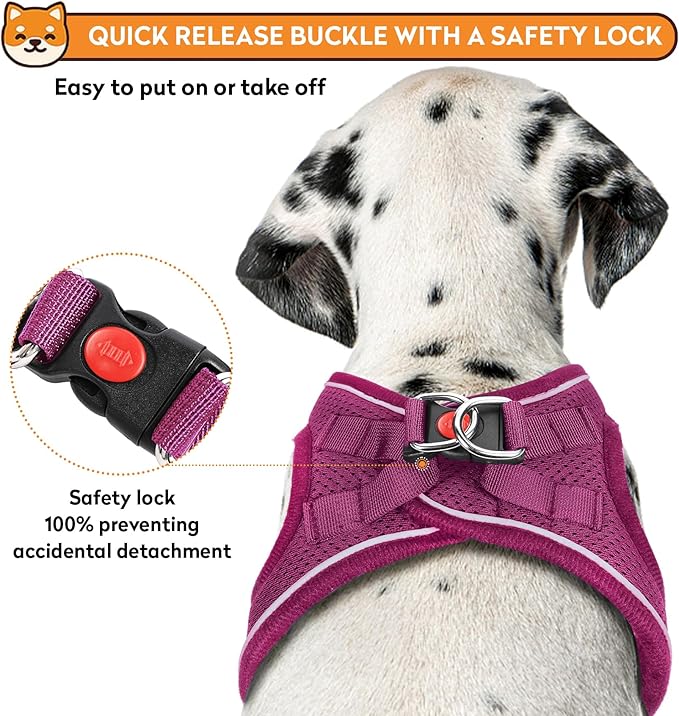 Dog Harness with Leash Set, No-Pull Step-in Reflective Pet Harness with 1 Leash Clips, Adjustable Soft Padded Easy Walk Dog Vest for Small Medium Large Dogs, Cats(Rose Red, Medium)