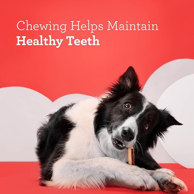 DreamBone DreamSticks With Real Chicken Chews For Dogs, 15 Count, These Easy-to-Digest Rawhide-Free Chews are a Dog’s Favorite Distraction