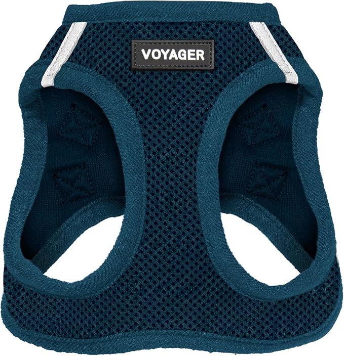 Best Pet Supplies Voyager Step-in Air Harness - All Weather Mesh, Reflective, No Pull Harness for Dogs, Cats - Secure with Hook & Loop Fastener, Buckle, Double D-Rings - Blue, M