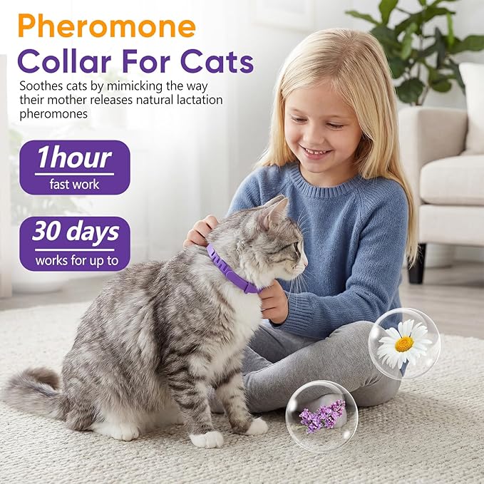Cat Calming Collar, 6-Pack Pheromone Collars for Cats – Adjustable 15″, Up to 4 Weeks Lasting Stress & Anxiety Relief, Helps Reduce Noise Fear, Scratching & Separation Anxiety（Pruple）