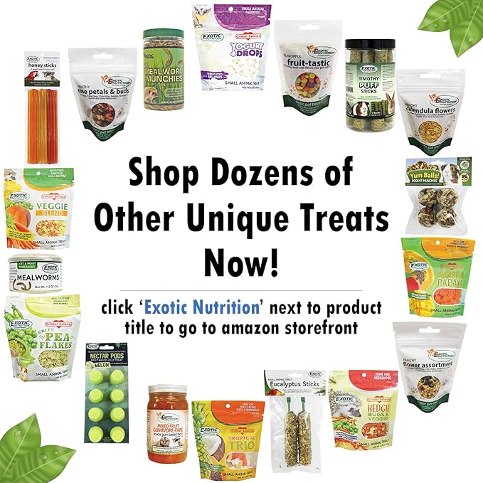 Fruit Medley Treat - Healthy Natural Dried Fruit Treat - Sugar Gliders, Squirrels, Chinchillas, Prairie Dogs, Opossums, Marmosets, Monkeys, Parrots, Birds, Rabbits, Guinea Pigs & Small Pets (4 oz.)