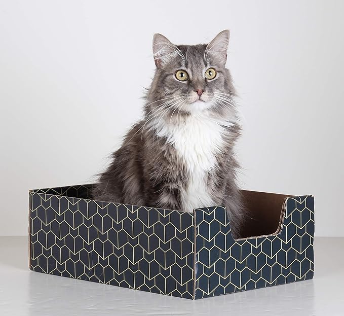 Purrfect Cat Box Modern Cat Box Lounger with Peek-a-Boo Cutout | Premium Corrugated Cardboard Cat Bed for Sleeping and Relaxation | Interactive Board Box for Indoor Kittens and Small Pets, Blue