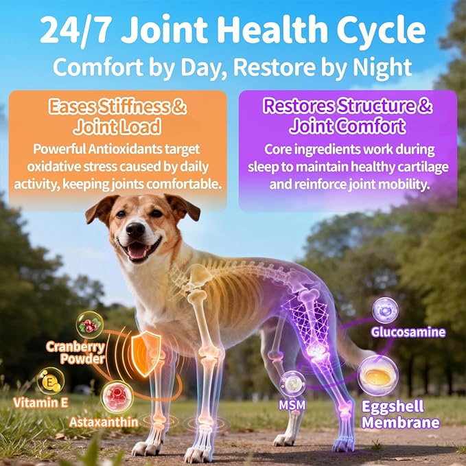 25-in-1 Dog Vitamins and Supplements - Day & Night 2 Pack - Dog Multivitamin Powder with Collagen, Glucosamine, Probiotics - Joint, Gut, Calm, Skin & Immune Support, Chicken Flavor, 150 Scoops