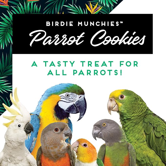 Oven Fresh Bites Natural Baked Treats, All-Natural Bird Treat Parrot Cookies, 4 Oz, Peanut Butter, 3-Pack