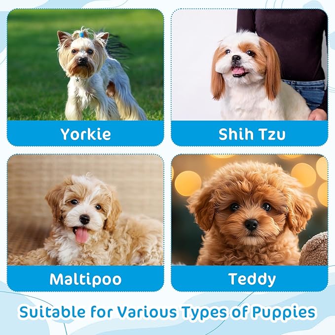 Small Dogs Brush Puppy Hair Brush Soft Pet Massaging Grooming Brushes Gentle Hair Remover for Teddy Yorkies Maltese Shih Tzu Chihuahua Maltipoos Small Breeds Cat Animals Wet or Dry Fur (blue)