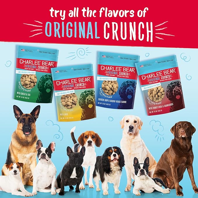 Charlee Bear Chicken Soup & Garden Veggie Dog Treats 16 oz. bag