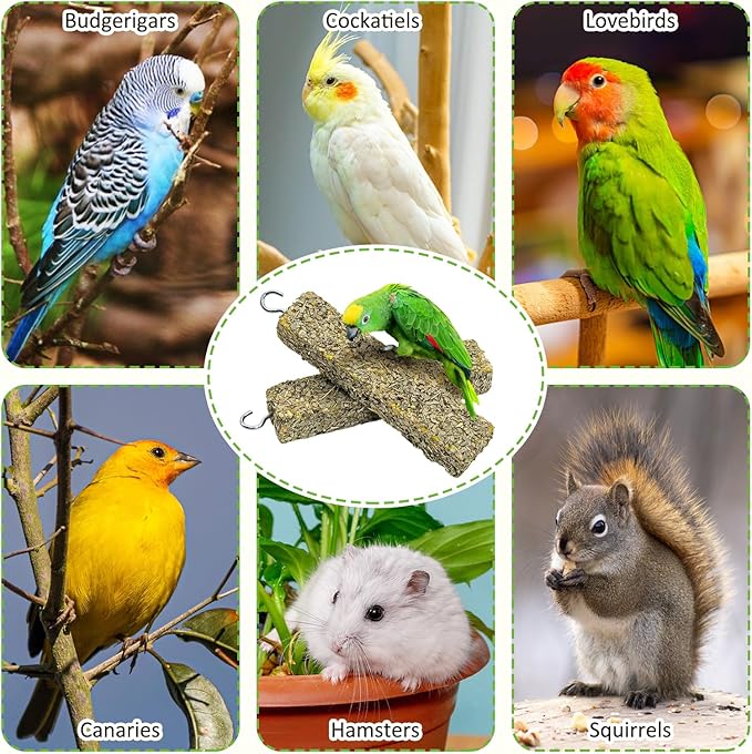 Fhiny 4 PCS Parakeet Treats, Natural Cockatiel Food Eucalyptus Leaves Mixed Grains Parrot Snack Sticks Bird Treats for Budgerigars Lovebirds Canaries Conurus Finches
