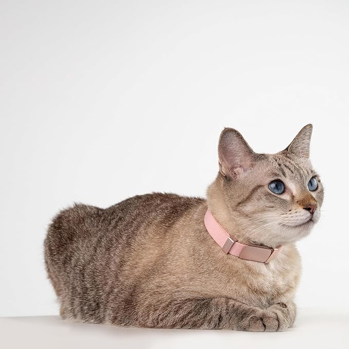 Engraved Pet ID Tag - Personalized Name Tag, Engraved Tag Cat Collar Charms, Custom Aluminum Alloy or Stainless Steel Cat Name Tag for Kitten Small Large Cats (Horizon-Blush Pink S)