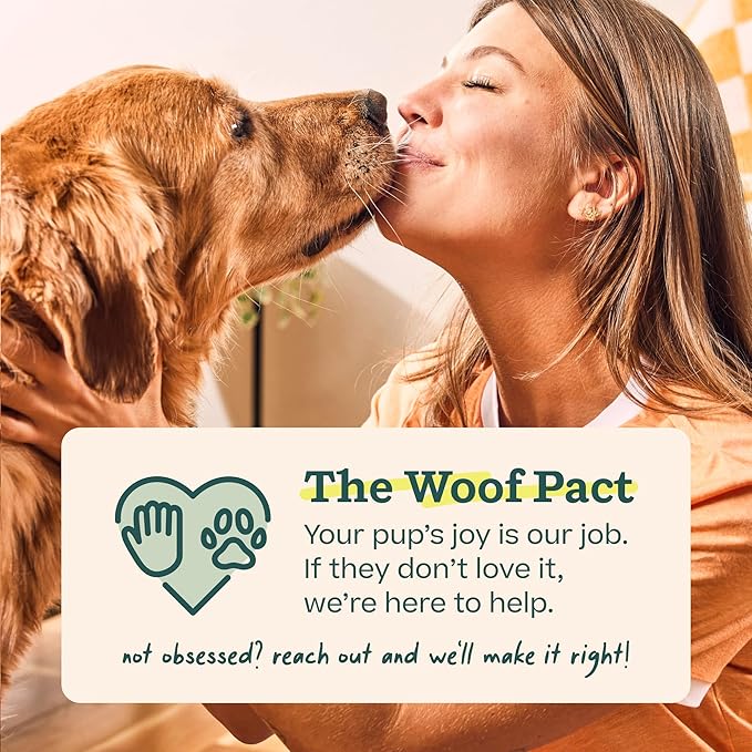 WOOF Pupsicle Birthday Pops - Healthy Dog Treats - Pre-Made Pupsicle Refills - Wholesome Ingredients - Naturally Sweet - Cake-Flavored Birthday Treat for Dogs - XL