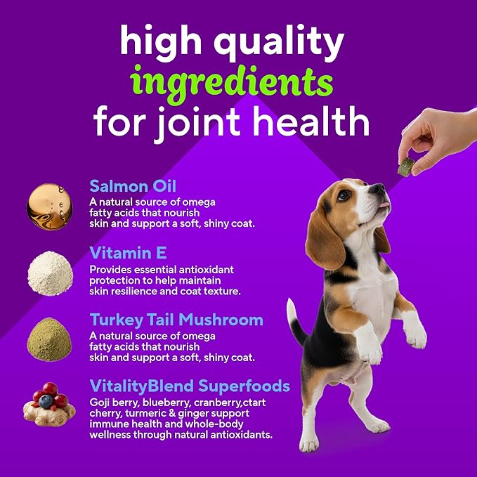 VitaFusion for Dogs Skin & Coat Supplement, Omega 3 Salmon Oil & Vitamin E – Supports Healthy Skin, Shiny Coat & Moisture Balance, Vet Formulated 120 Chews.