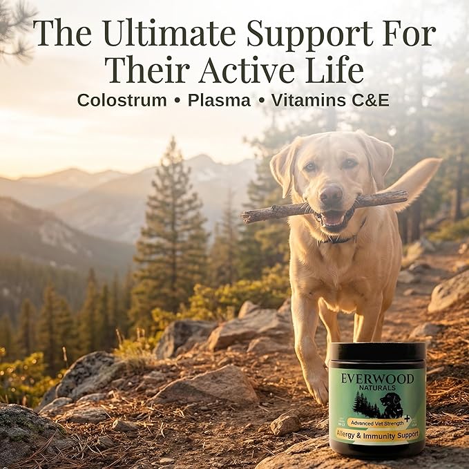 Premium Allergy & Immunity Support Soft Chews for Dogs – Colostrum, Plasma Proteins, Yeast & Vitamins C & E – Dog Immunity & Allergy Supplement – 60 Soft Chews