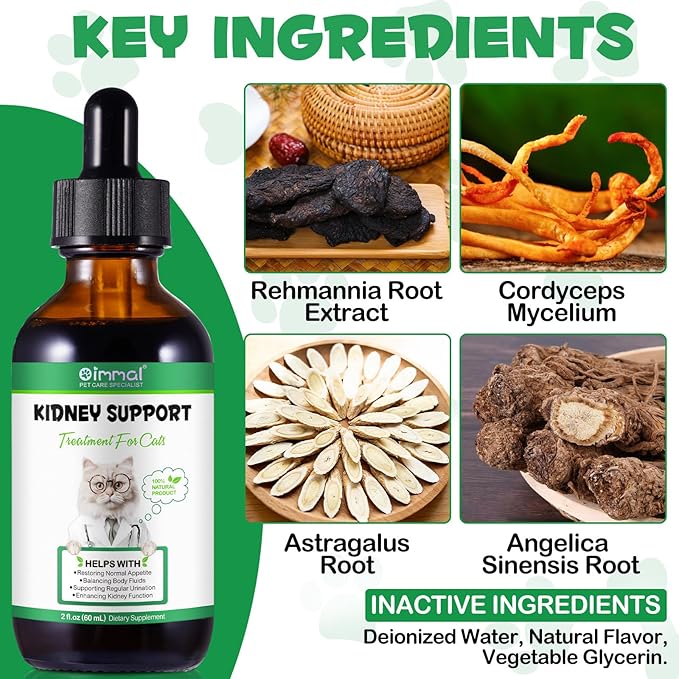 Specifically Formulated Kidney Support for Cats, Naturally Supports Healthy Kidney Function in Cats, Increase Immunity, Herbal Supplement Supports, for Kidney & Urinary Health, Energy & Appetite