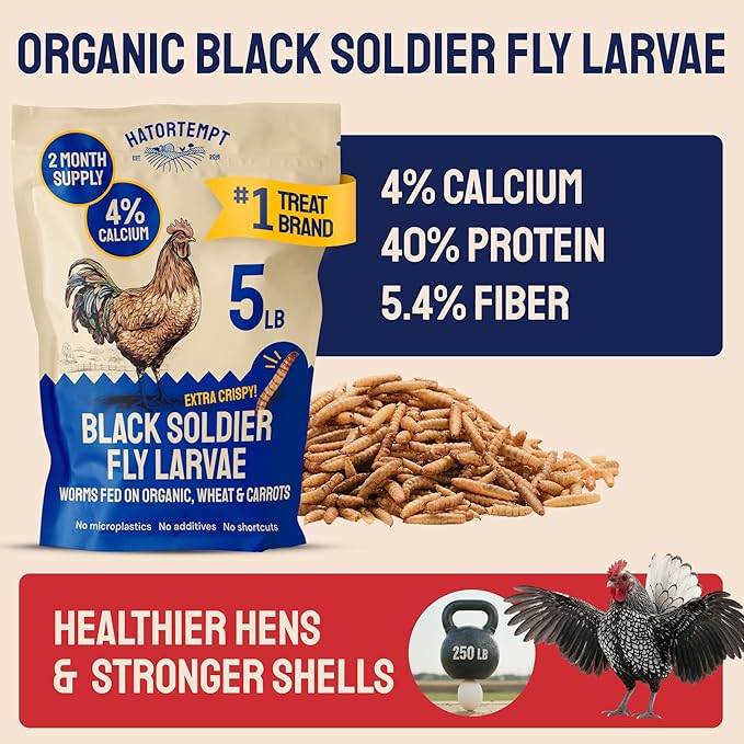 Hatortempt 5lb Dried Black Soldier Fly Larvae - More Calcium Than Mealworms for Chickens - High Protein Chicken Feed Treats for Laying Hens, Wild Birds and Duck Food
