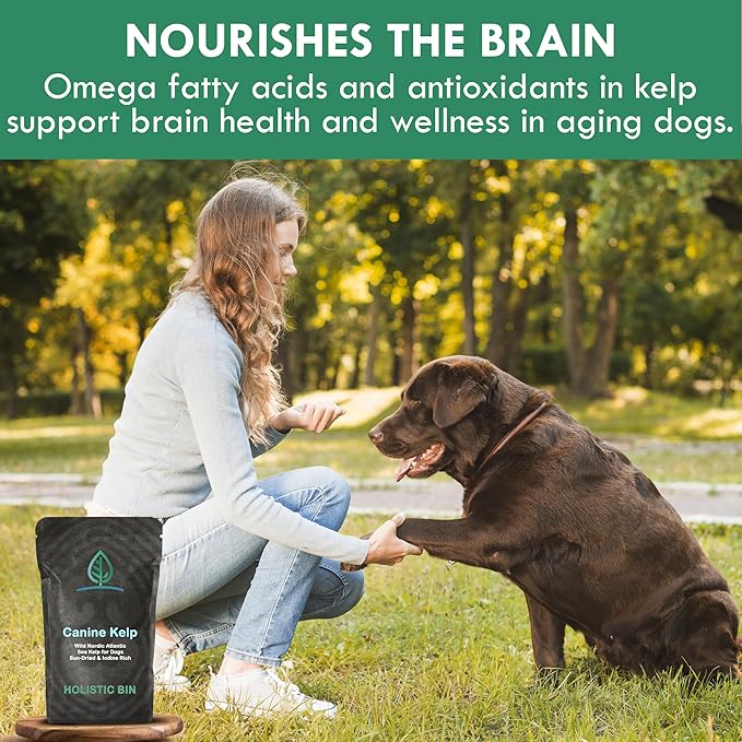 Holistic Bin Canine Atlantic Sea Kelp Dog Food Toppers | Supplement Powder with Iodine and Minerals | Pet Essentials | For Shiny Coat and Skin Wellness | Gut Flora & Oral Freshness | Canine Kelp (50g)