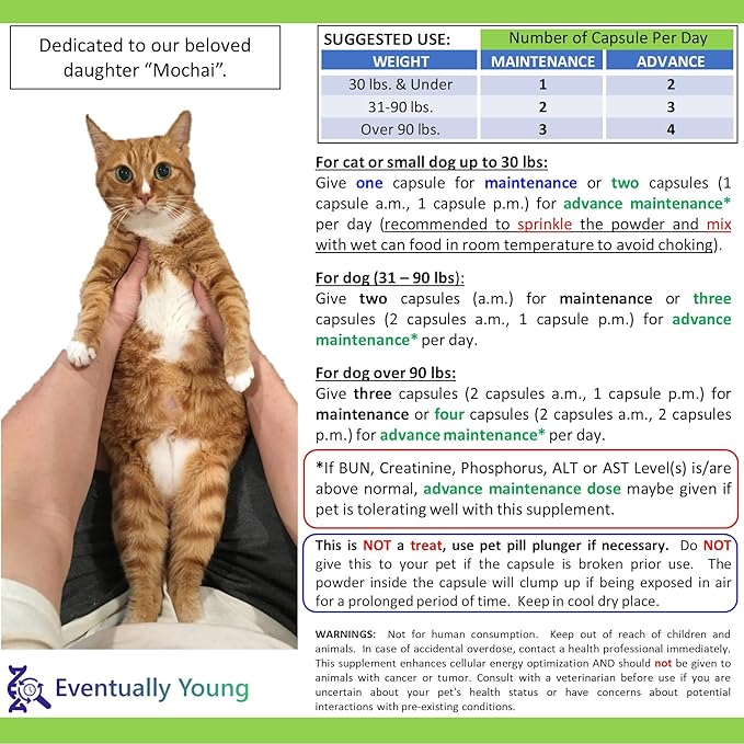 𝗘𝘃𝗲𝗻𝘁𝘂𝗮𝗹𝗹𝘆 𝗬𝗼𝘂𝗻𝗴 12-in-1 CKD Kidney Support Restore 4 Cats & Dogs: Super Phosphate Binder w/NMN, Fisetin, Antioxidants, Pre & Probiotic 4 Healthy Kidney & Liver Functions (60 Caps)