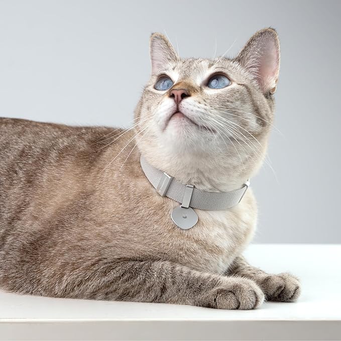 Engraved Pet ID Tag - Personalized Name Tag Engraved Cat Collar Charms, Aluminum Alloy Cat Customized Name Tag for Kitten Small Large Cats (Star-Monet Purple)