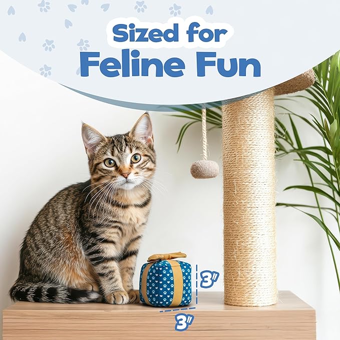 Gift Box Catnip Toy – Birthday Cat Toy with Catnip & Crinkle, Cute Plush Present for Indoor Cats, Birthday & Valentines Day Cat Gift