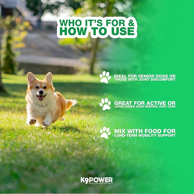 K9Power Joint Strong – Dog Joint Supplement for Mobility, Pain & Inflammation Relief – Glucosamine, Chondroitin, Collagen, Curcumin, Omega 3s, CMO, Green Tea – Ideal for Arthritis & Joint Protection