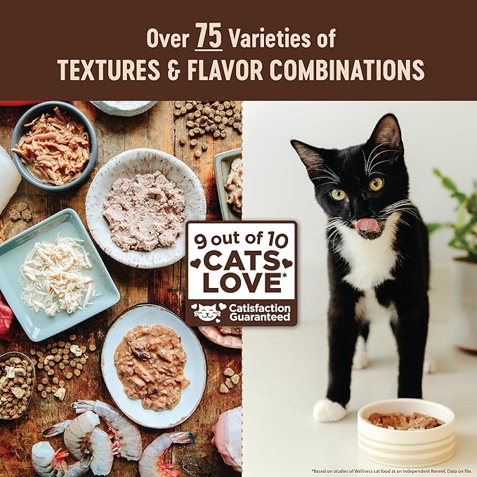 Wellness CORE Pate Kitten Wet Cat Food, Natural, Protein-Rich, Grain Free, 3 Ounce, 12 Pack (Chicken & Salmon)