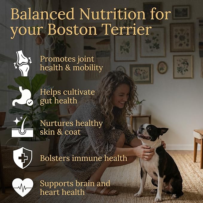 Boston Terrier Multivitamins, 90 Count, Made in the USA with Real Bacon