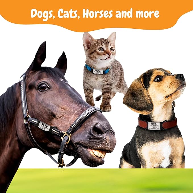 Personalized Slide-On Silent Pet ID Tag, Custom Engraved Elastic Band Name Plate and Phone for Collars and Harnesses, No Noise Charms for Dogs, Cats, Puppies, Kittens, or Horses