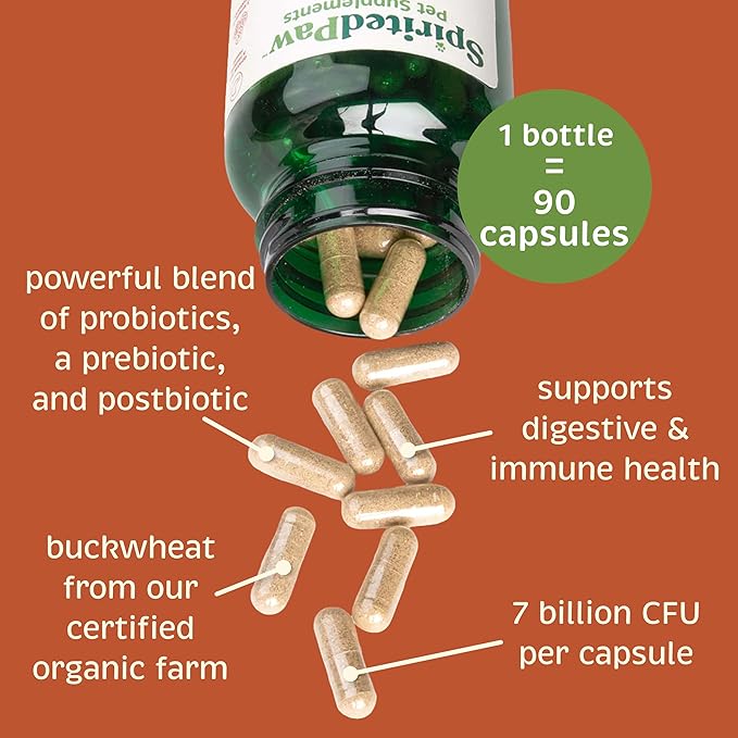 Spirited Paw Probiotic + Gut Health - Digestive & Immune Support for Dogs & Cats - Prebiotic, Probiotic & Postbiotic Pet Care Blend with Organic Buckwheat & Chicory Root Fiber - 90 Capsules